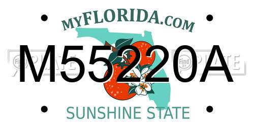 M55220A Florida License Plate
