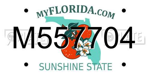 M557704 Florida License Plate