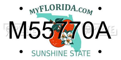 M55770A Florida License Plate