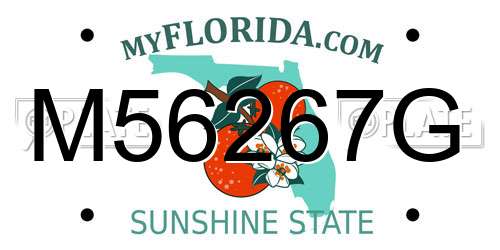 M56267G Florida License Plate