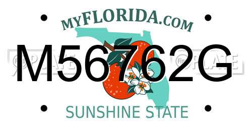 M56762G Florida License Plate