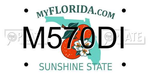 M570DI Florida License Plate
