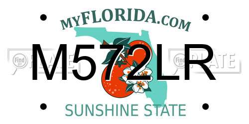 M572LR Florida License Plate