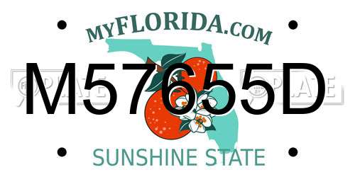 M57655D Florida License Plate