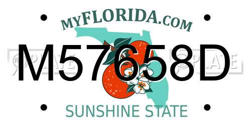 M57658D Florida License Plate