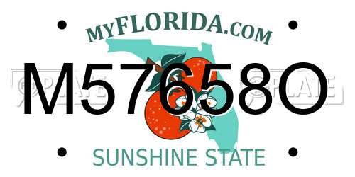 M57658O Florida License Plate