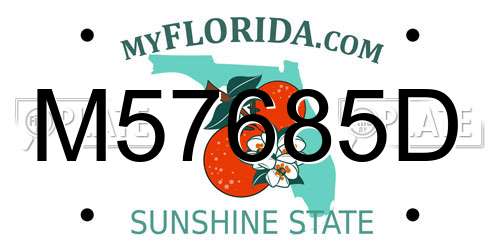M57685D Florida License Plate