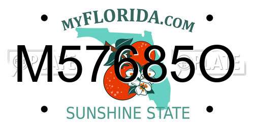M57685O Florida License Plate