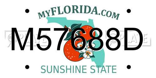M57688D Florida License Plate