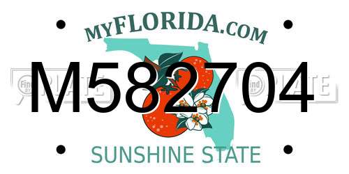 M582704 Florida License Plate