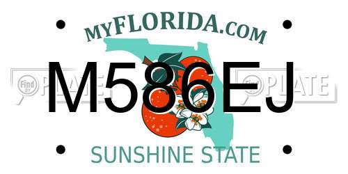 M586EJ Florida License Plate