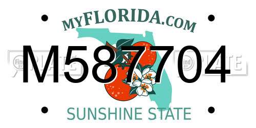 M587704 Florida License Plate