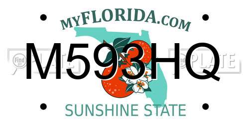 M593HQ Florida License Plate