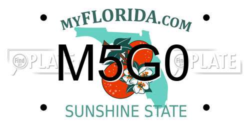 M5G0 Florida License Plate