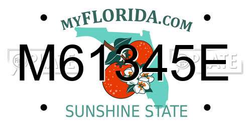M61345E Florida License Plate