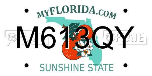 M613QY Florida License Plate