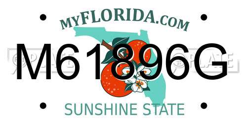 M61896G Florida License Plate