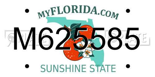 M625585 Florida License Plate