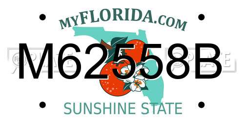 M62558B Florida License Plate