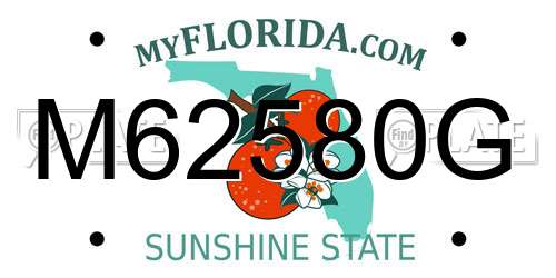 M62580G Florida License Plate