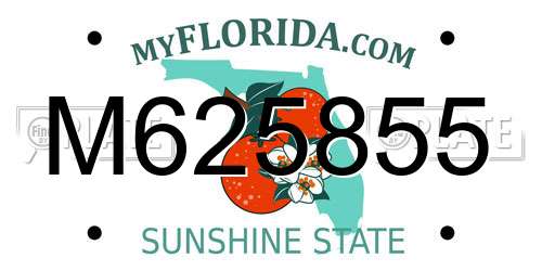 M625855 Florida License Plate