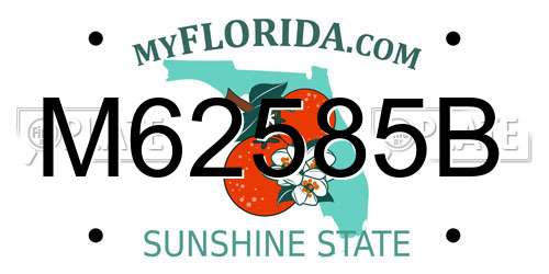 M62585B Florida License Plate