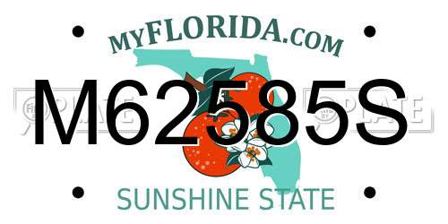 M62585S Florida License Plate