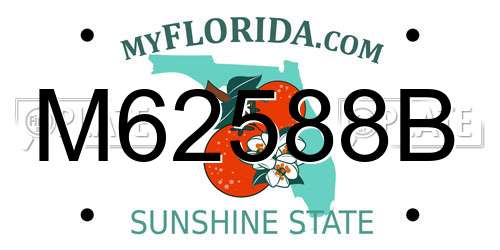 M62588B Florida License Plate