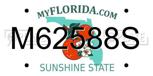M62588S Florida License Plate