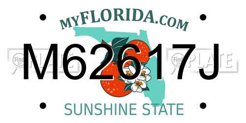 M62617J Florida License Plate
