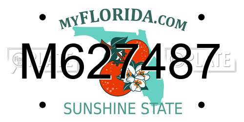 M627487 Florida License Plate