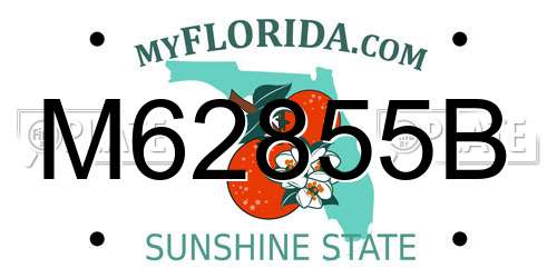 M62855B Florida License Plate