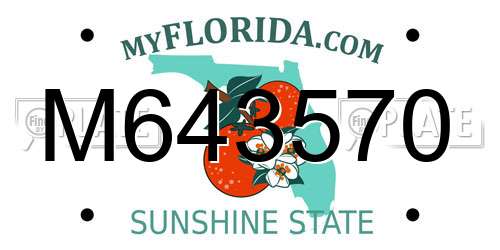 M643570 Florida License Plate