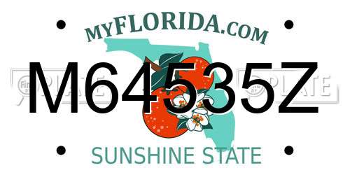 M64535Z Florida License Plate