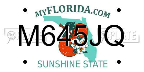 M645JQ Florida License Plate