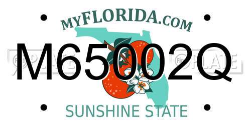 M65002Q Florida License Plate