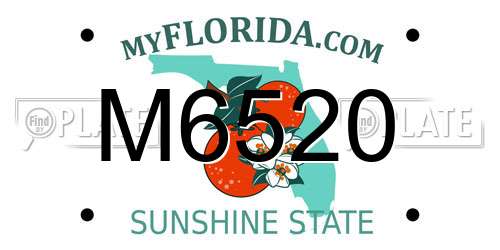 M6520 Florida License Plate