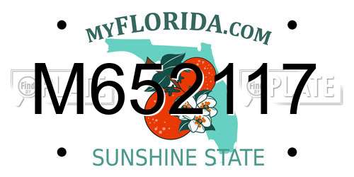 M652117 Florida License Plate