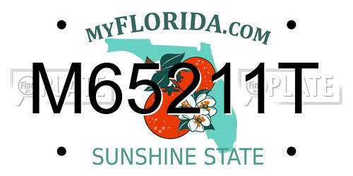 M65211T Florida License Plate