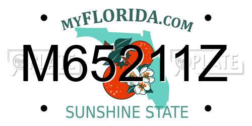 M65211Z Florida License Plate