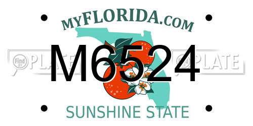 M6524 Florida License Plate