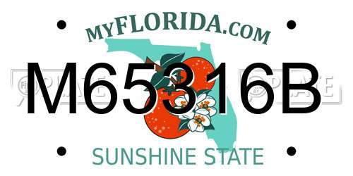 M65316B Florida License Plate