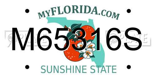M65316S Florida License Plate