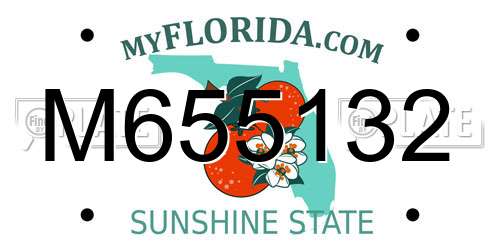 M655132 Florida License Plate