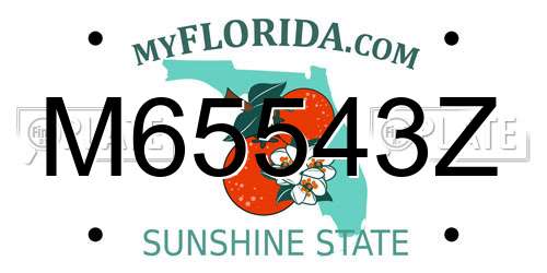 M65543Z Florida License Plate
