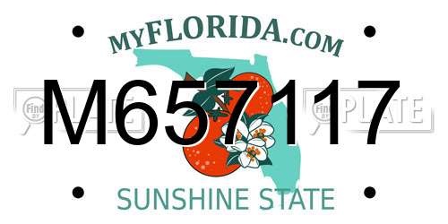 M657117 Florida License Plate
