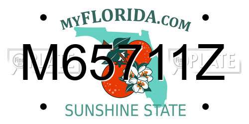 M65711Z Florida License Plate