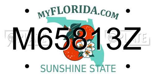 M65813Z Florida License Plate