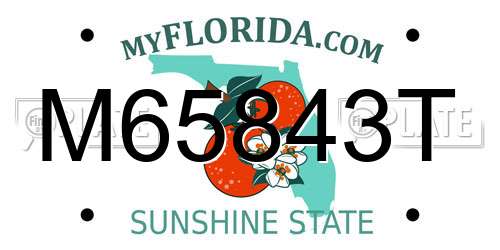 M65843T Florida License Plate