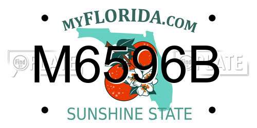 M6596B Florida License Plate